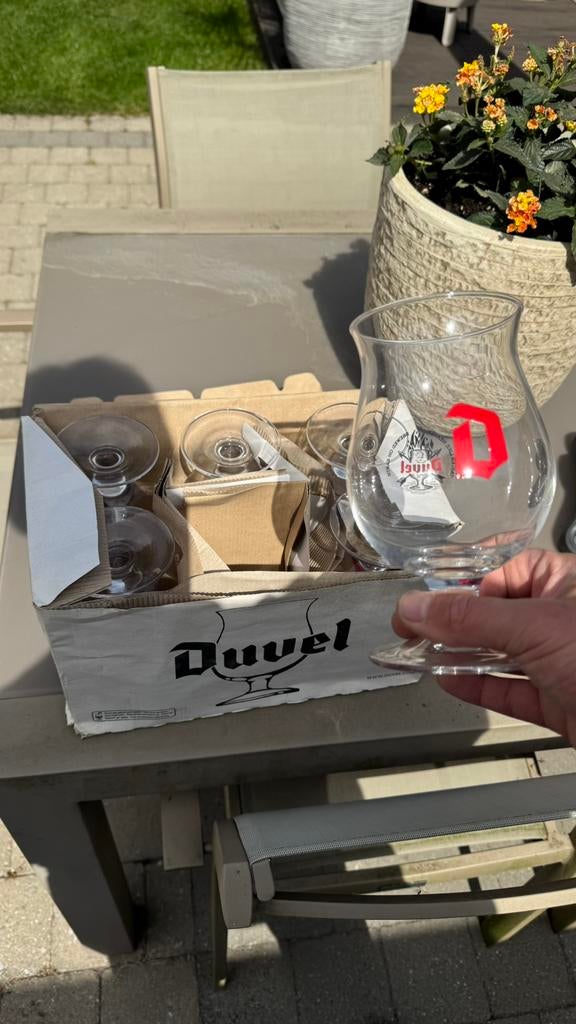 6 Duvel glazen nieuw in doos, Ophalen