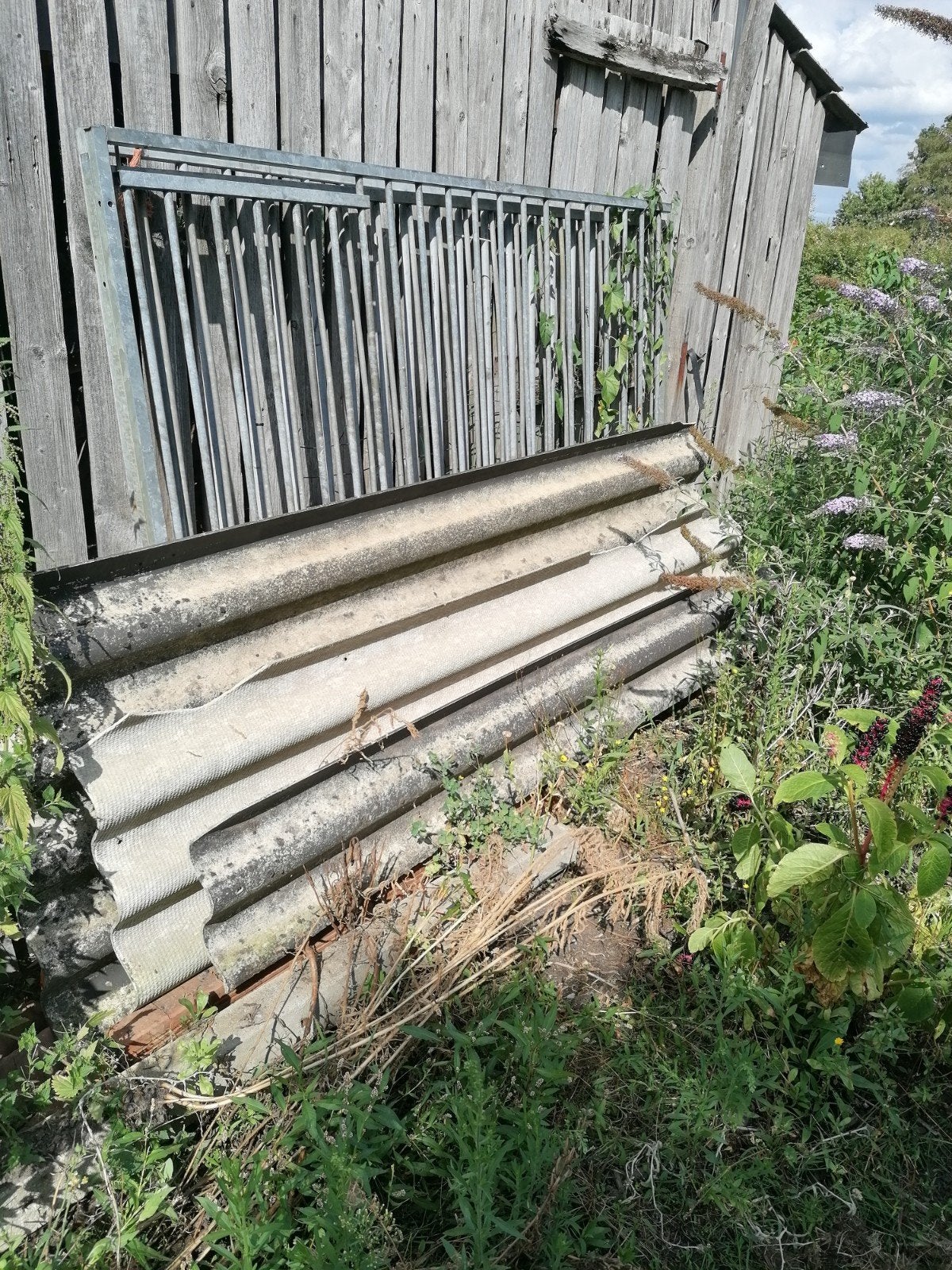 hondenren / golfplaat, Ophalen