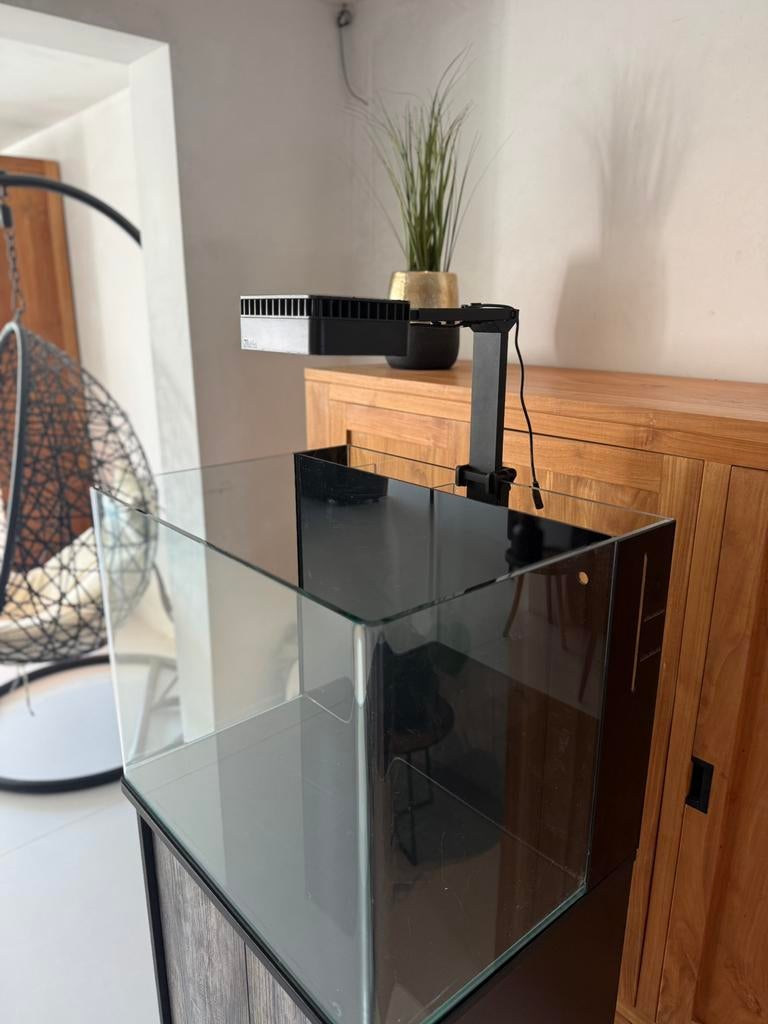 Zout aquarium 100 liter, Vis