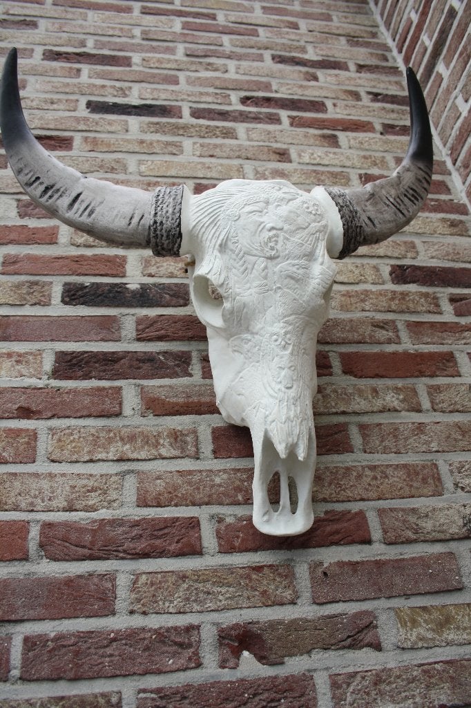 decoratieve waterbuffelschedel met hoorns, Ophalen