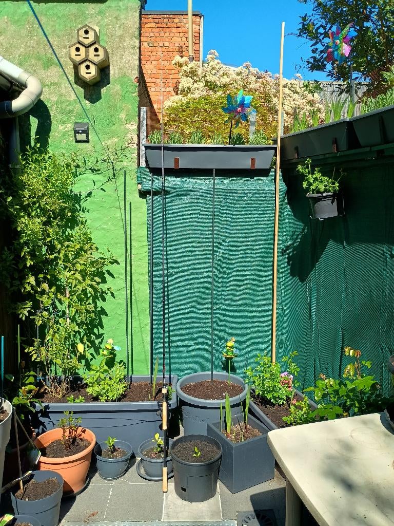 Werphengel - Feeder, Ophalen, Zo goed als nieuw, Werphengel