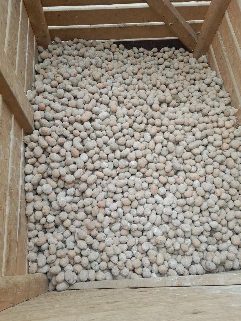 Aardappelplanters bintje jelly frieslander, Ophalen