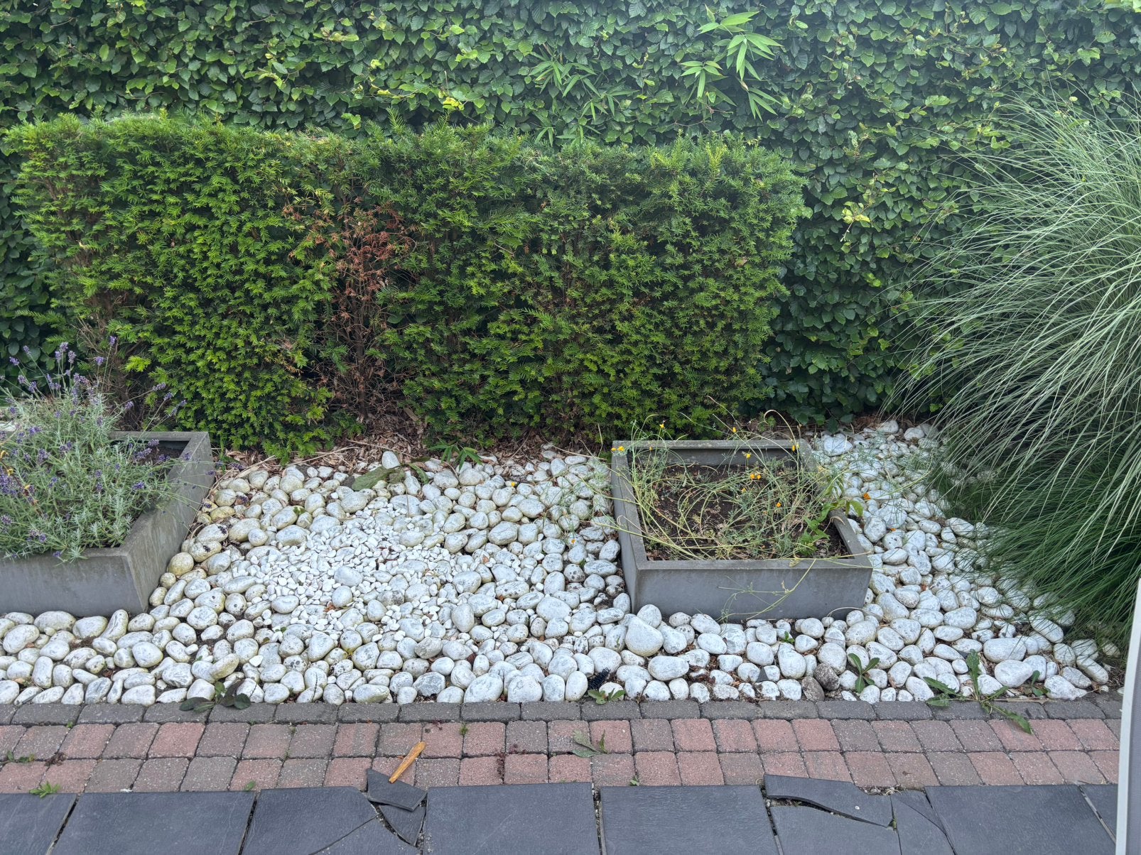 Gratis Witte stenen op te halen, Tuin en Terras, Ophalen, Gebruikt, Wit, Kei