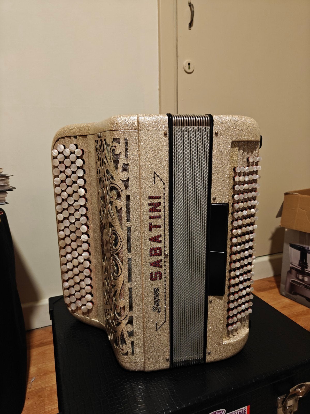 Accordeon Sabatini Do1, Musique & Instruments, Avec valise, Comme neuf, Enlèvement, 120 basses