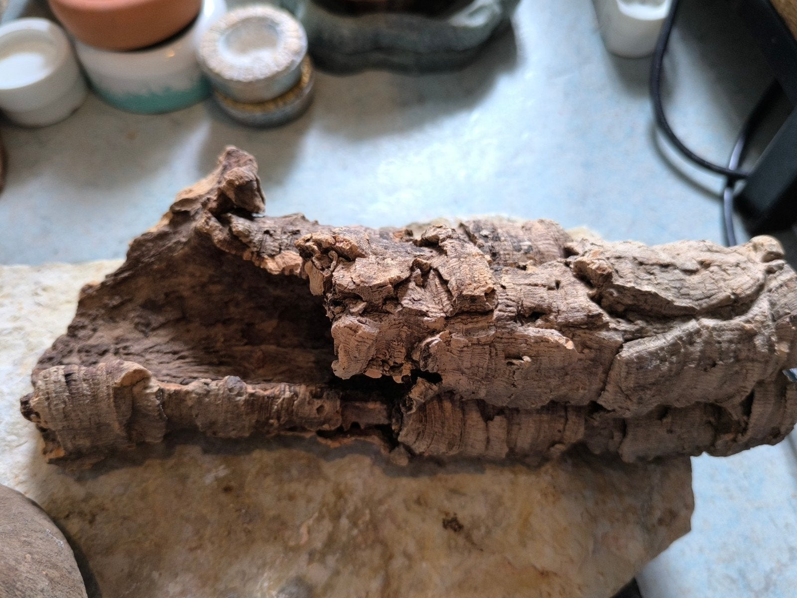 terrarium benodigtheden deel 3, Dieren en Toebehoren, Ophalen