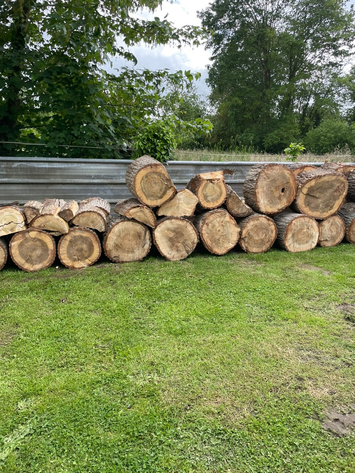 Brandhout (populier), in 40 cm gesneden, Tuin en Terras, Ophalen