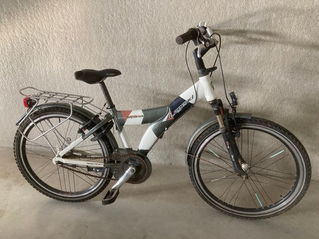 Alpina Legend fiets., Fietsen en Brommers, Ophalen, Gebruikt, Schijfrem, Versnellingen