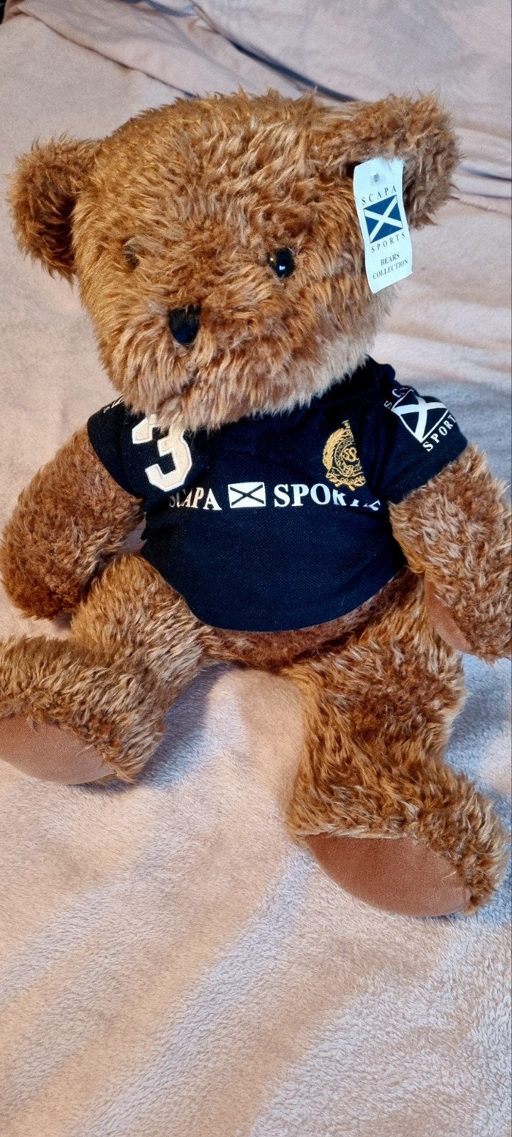 Mooie Teddybeer - 'Scapa sports', Collections, Ours & Peluches, Enlèvement