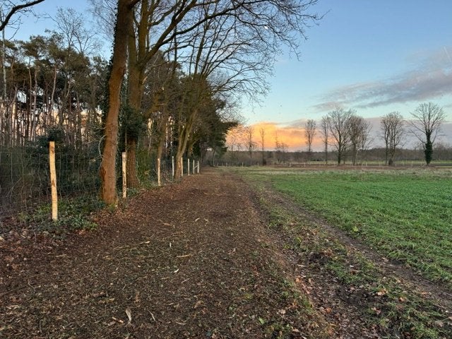 Te koop perceel bos gelegen Stekene/Klein-Sinaai, Klein-Sinaai, 1500 m² of meer
