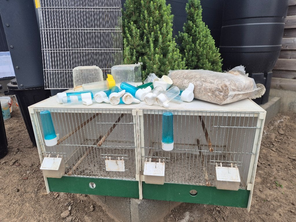 Kweekkooi, Animaux & Accessoires, Oiseaux | Cages & Volières, Enlèvement, Utilisé, Synthétique, Cage d'élevage