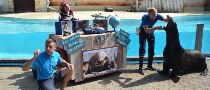 2 of 4 ticket Boudewijn Seapark Brugge € 43, Tickets & Billets, Loisirs | Parcs d'attractions, Deux personnes, Ticket ou Carte d'accès