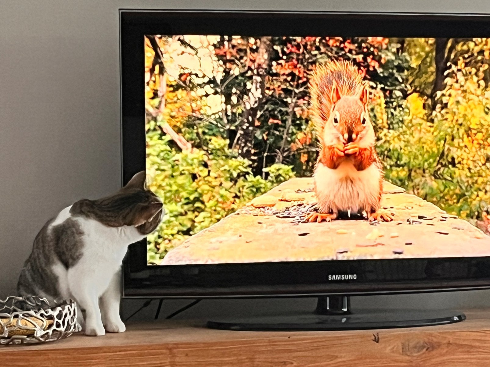 Samsung 40 Inch TV LE40A656A1FXXC, Audio, Tv en Foto, Home Cinema-sets, Ophalen, Zo goed als nieuw, Overige merken