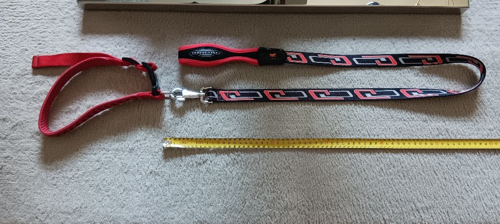 Laisse + collier pour chien !, Enlèvement, Neuf, Laisse pour chien