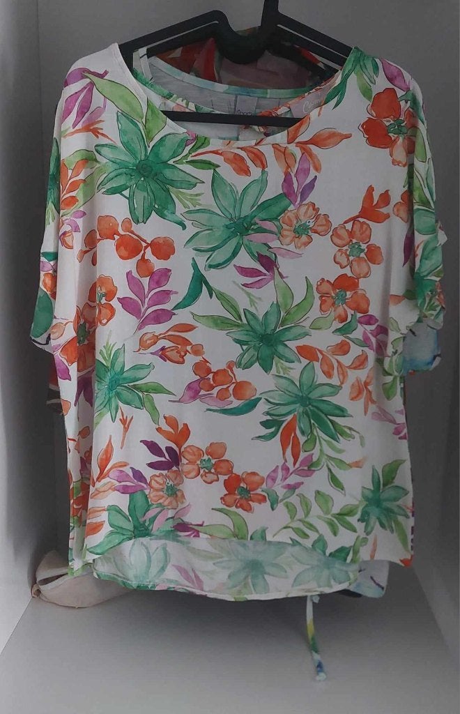 2 blouses maat 40, Kleding | Dames, Blouses en Tunieken, Ophalen of Verzenden, Zo goed als nieuw, Maat 38/40 (M)
