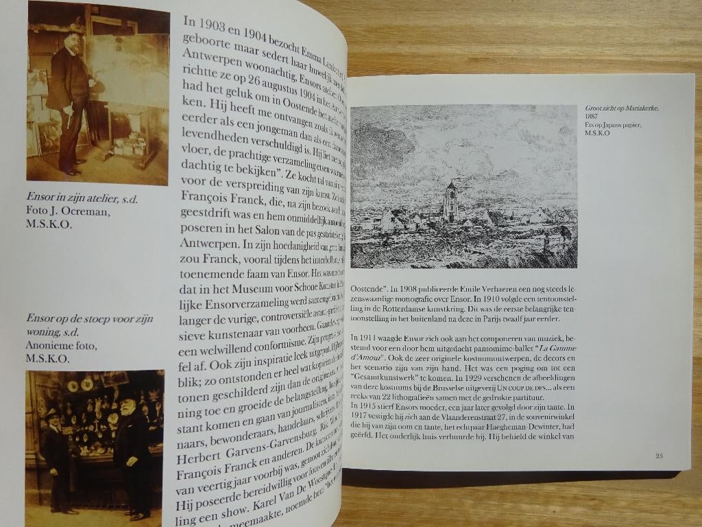 James Ensor, zes thema's in zijn oeuvre, NBB 1995, Ophalen of Verzenden, Zo goed als nieuw, Schilder- en Tekenkunst