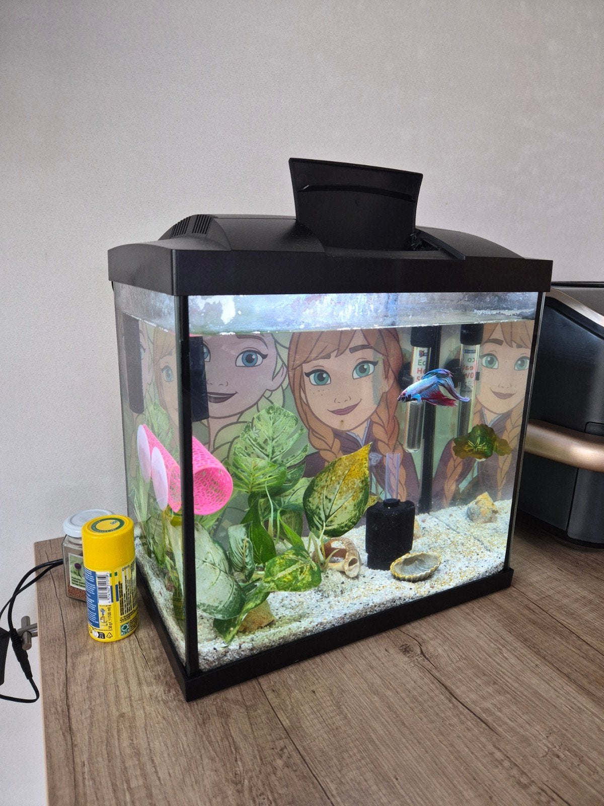 Aquarium 20l, Dieren en Toebehoren, Ophalen, Inclusief deksel, Zo goed als nieuw, Decoratie