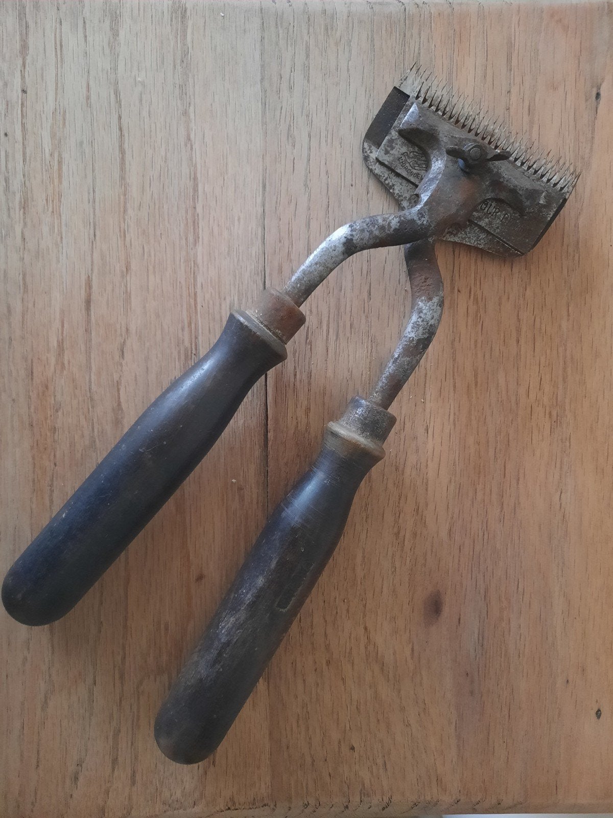 Antieke tondeuse voor dieren, Antiek en Kunst, Ophalen of Verzenden