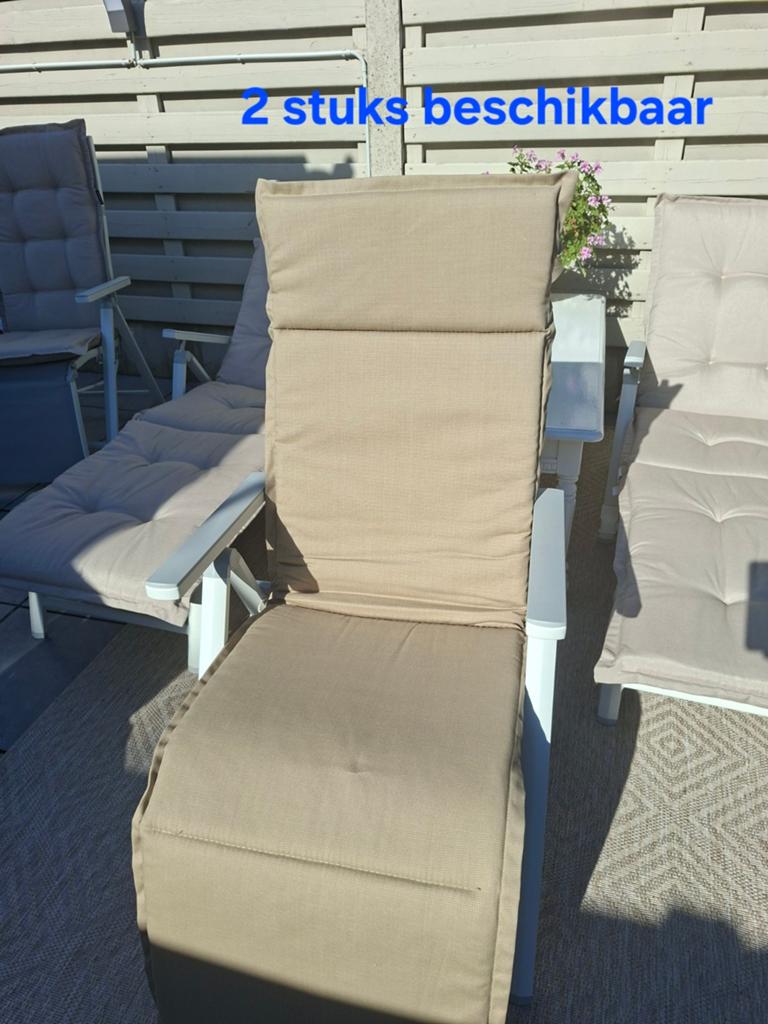 Lot beige tuinkussens van Lidl lot prijs 99, Ophalen