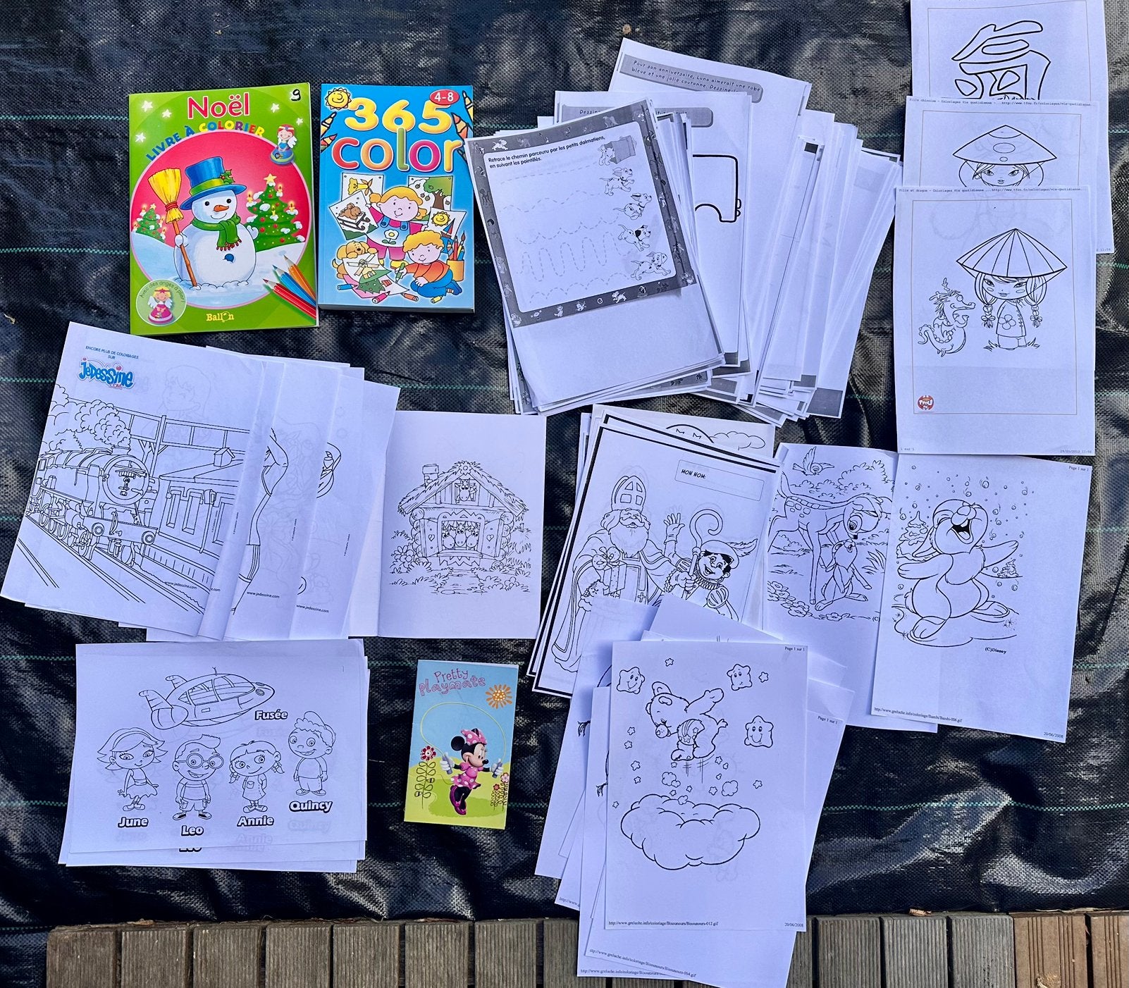Coloriages, Hobby & Loisirs créatifs, Enlèvement ou Envoi, Utilisé, Album ou Livre, Autres marques