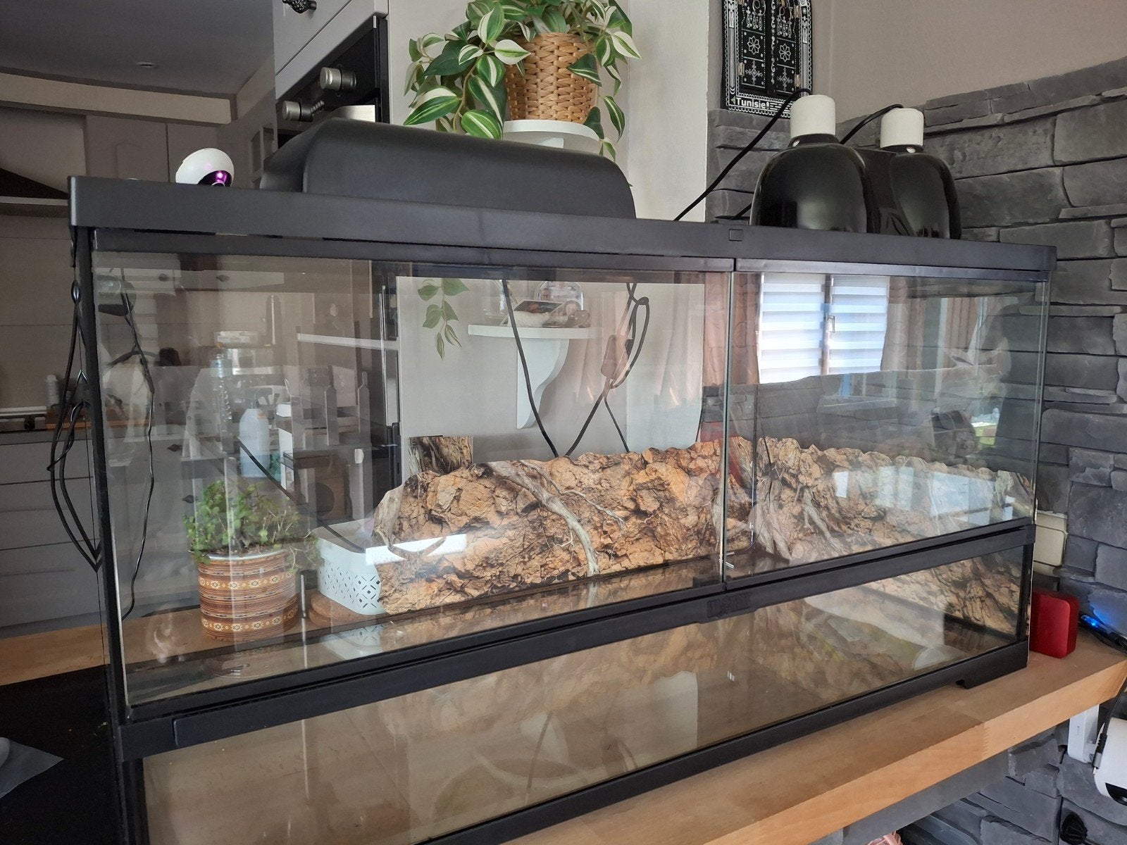 Pro Terrarium Exo Terra L90 x B45 x H.45 cm + 3 Accessoires, Dieren en Toebehoren, Reptielen en Amfibieën | Toebehoren, Ophalen