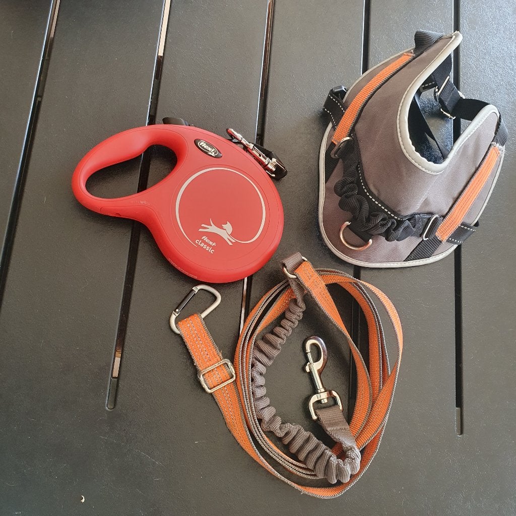 Nécessaire pour chien, Enlèvement, Utilisé