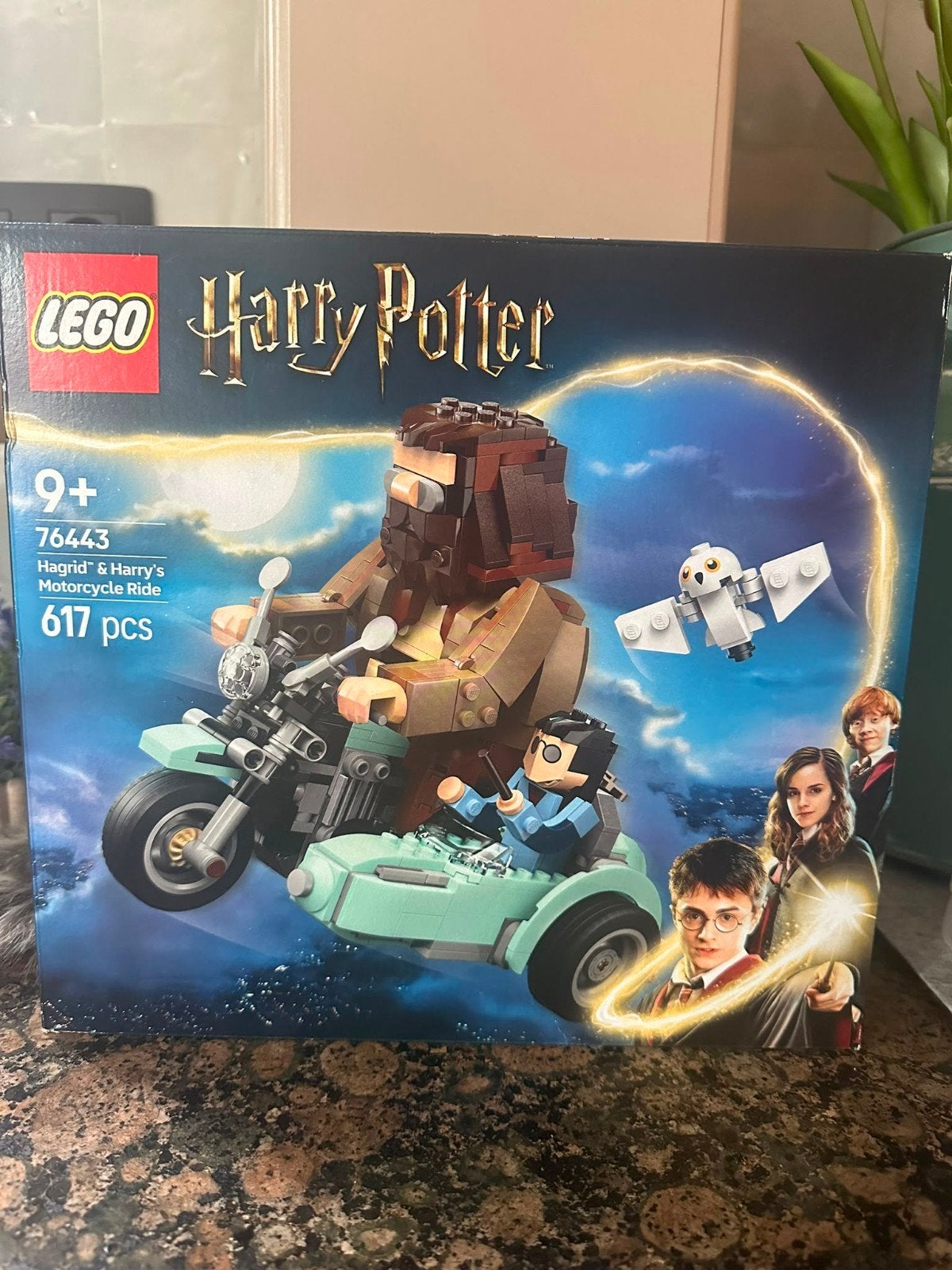 À vendre ensemble LEGO Harry Potter 76443, La balade en moto, Neuf, Enlèvement ou Envoi, Lego, Ensemble complet