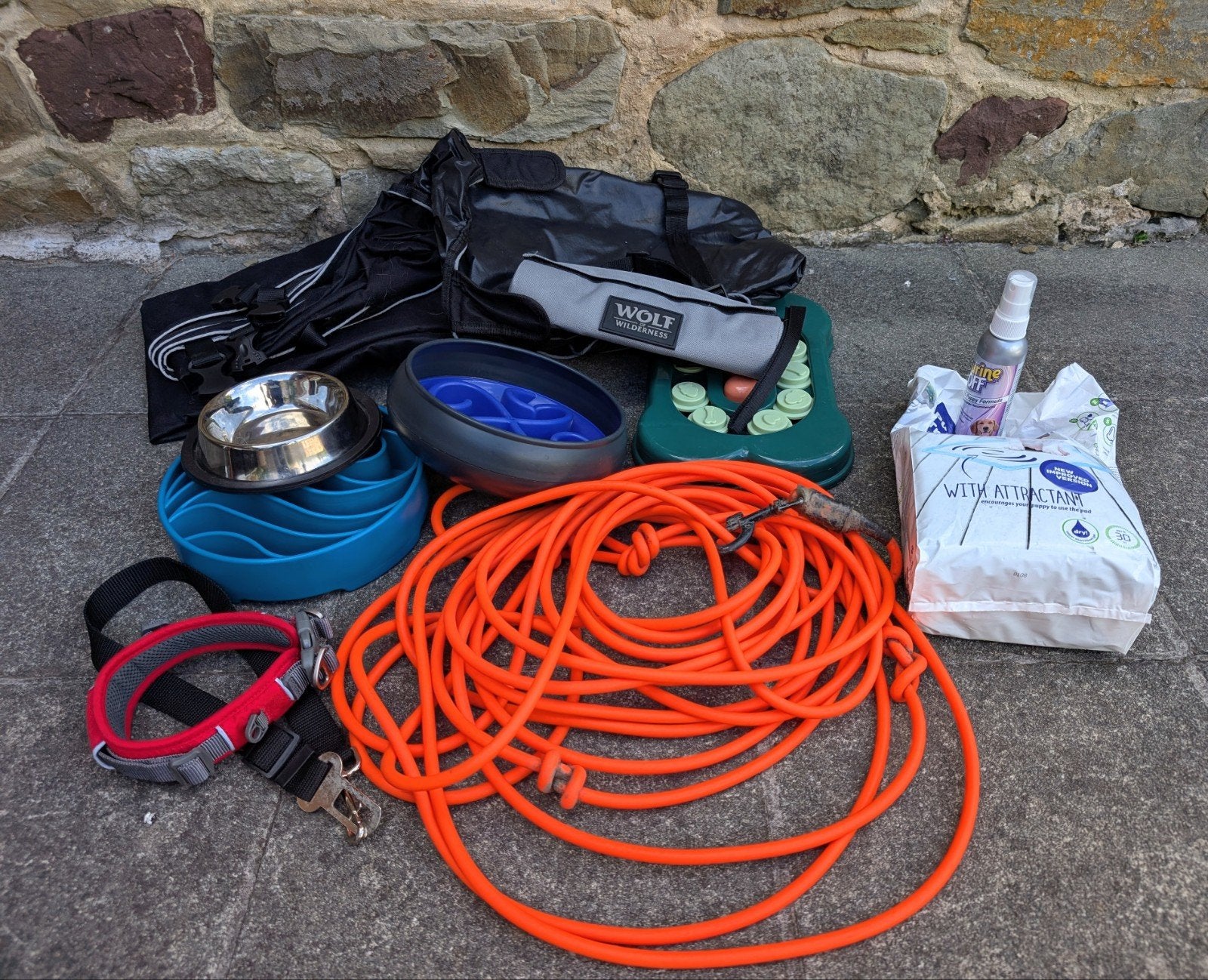 Lot accessoires pour chien, Animaux & Accessoires, Enlèvement, Collier