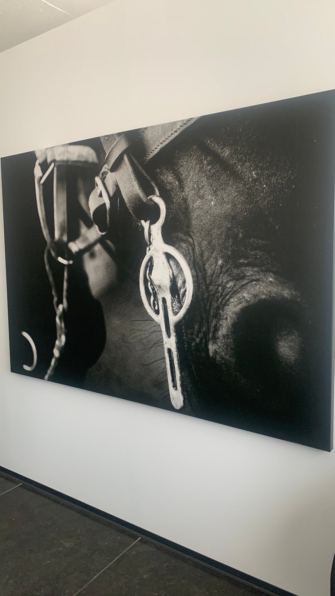 Grote foto met paardenkop, Enlèvement