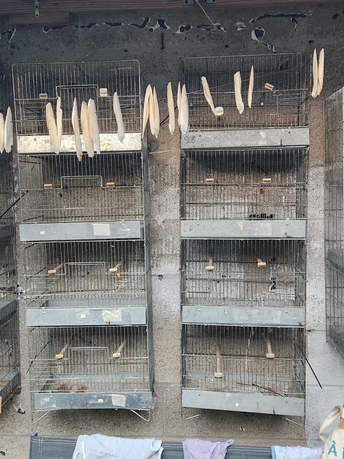 cages d'élevage, Animaux & Accessoires, Enlèvement ou Envoi, Utilisé