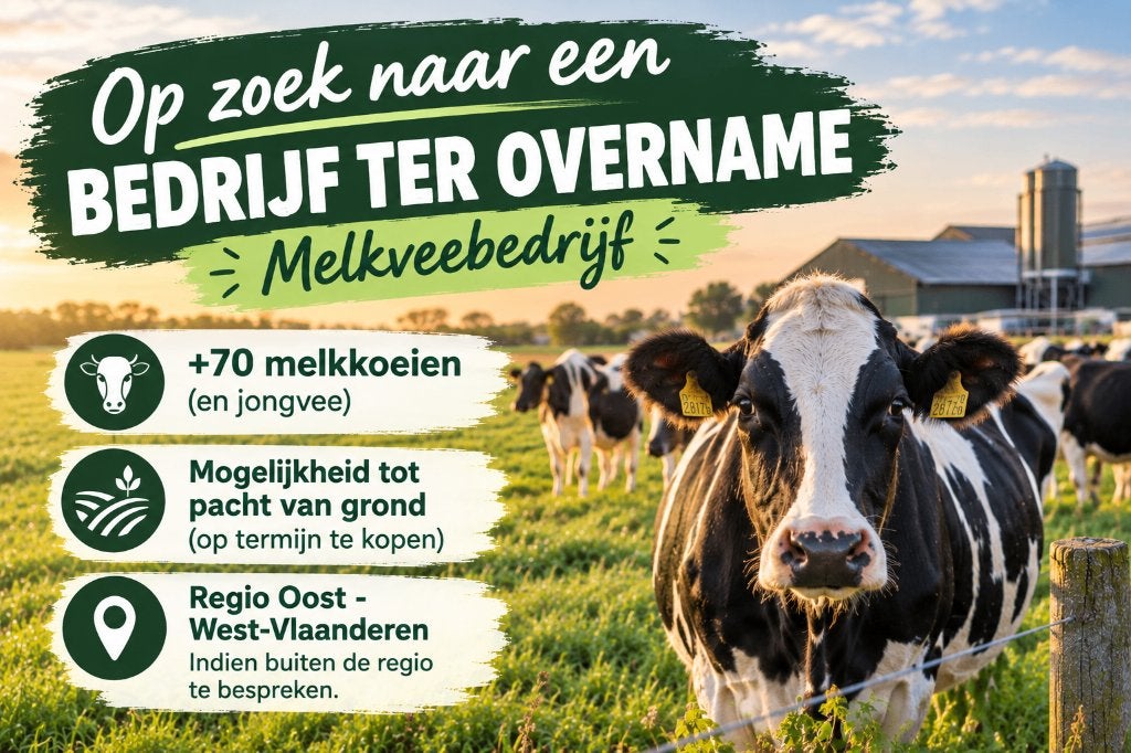 OP ZOEK NAAR EEN MELKVEEBEDRIJF TER OVERNAME, Ophalen, Melkveehouderij