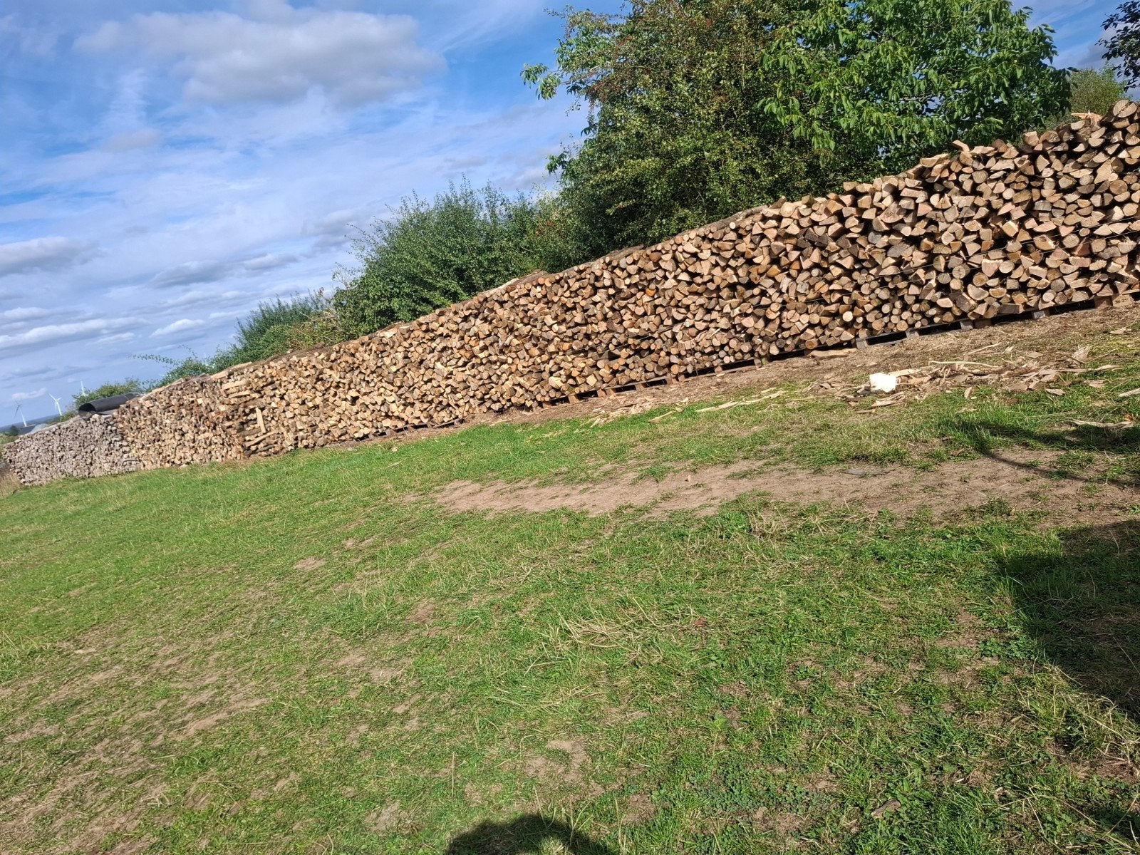 bois de chauffage