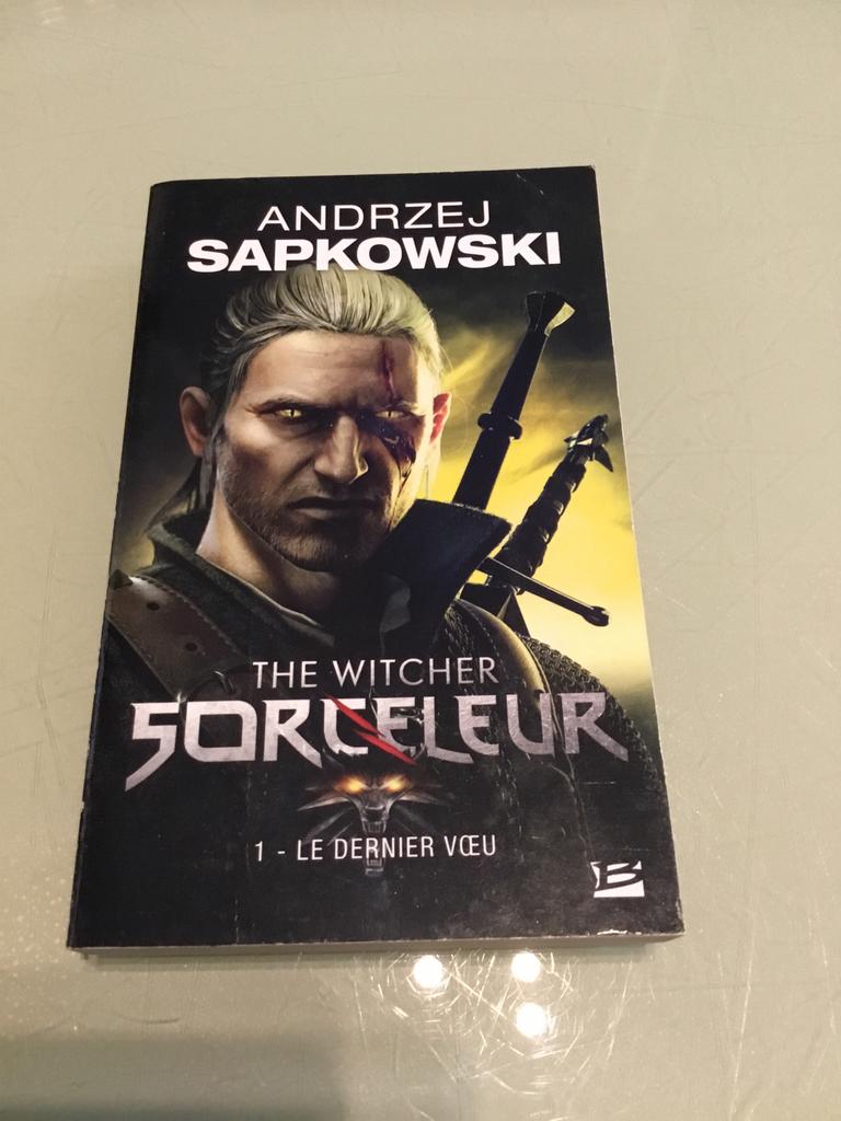 Livre The witcher, Livres, Enlèvement ou Envoi, Utilisé