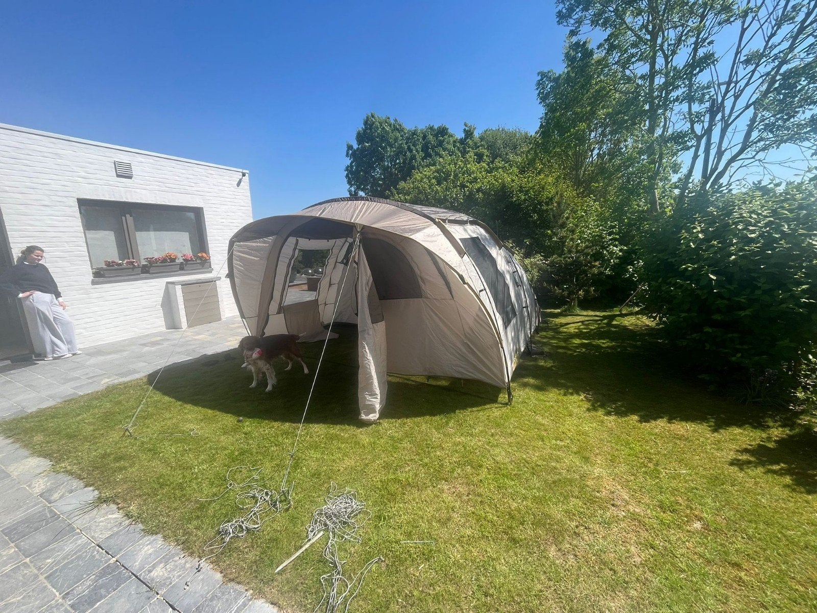 Tent nieuwstaat, Caravans en Kamperen, Voortenten en Luifels, Ophalen