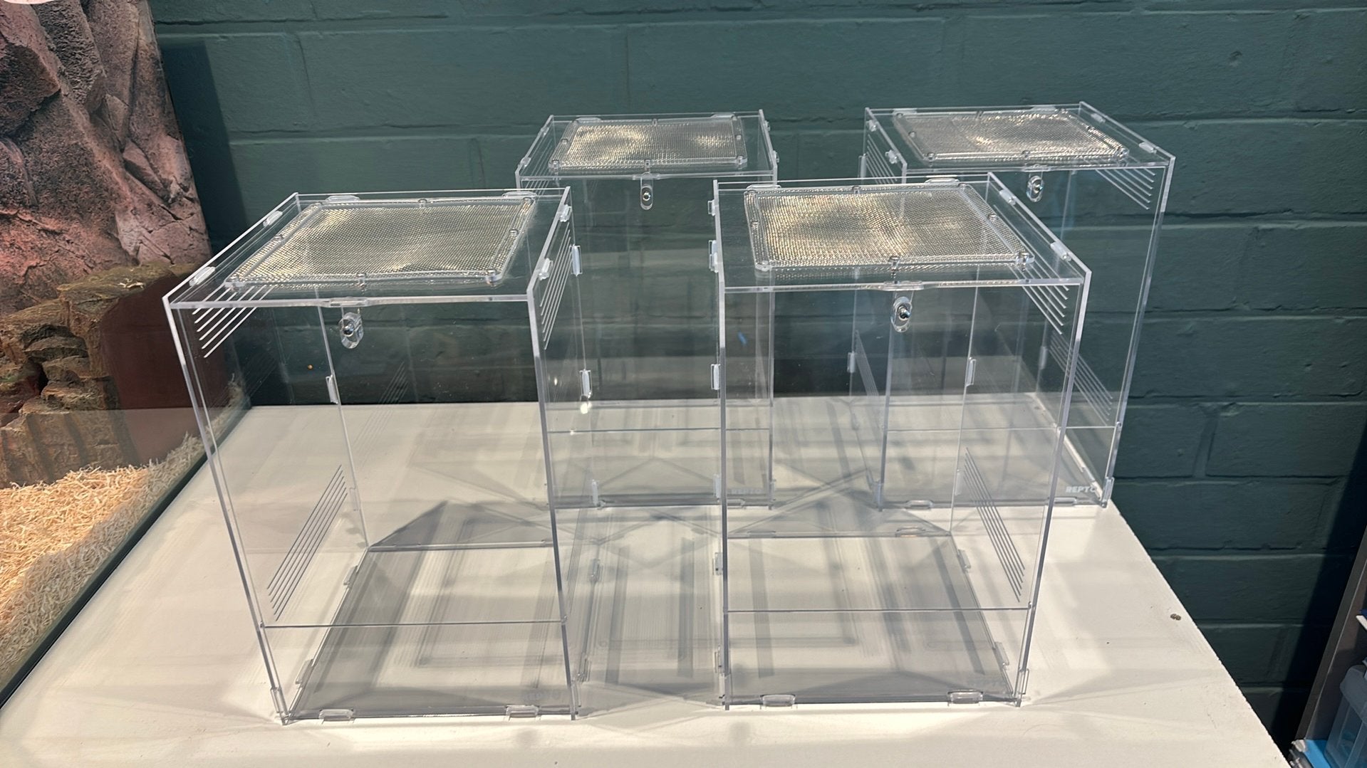 Repto Terra Clear 19,5x18,5x29cm PER STUK!!!, Animaux & Accessoires, Reptiles & Amphibiens | Accessoires, Enlèvement, Terrarium ou Paludarium