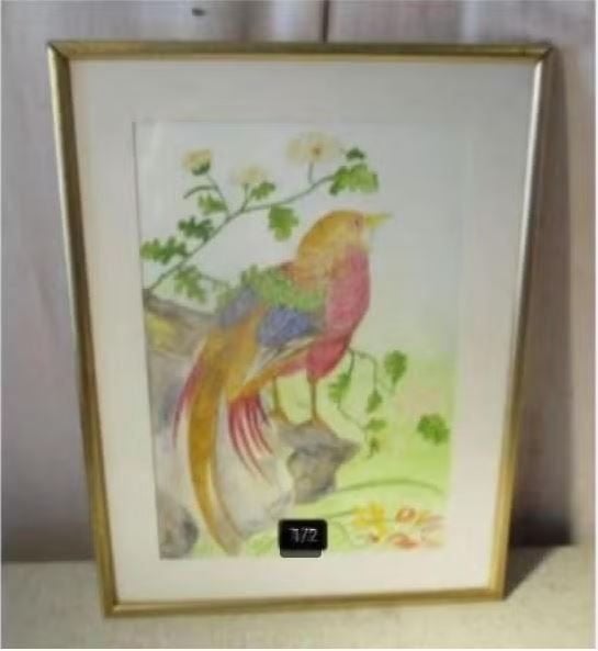 Aquarelle magnifiquement peinte « Oiseau coloré » - Pel 88, Enlèvement ou Envoi
