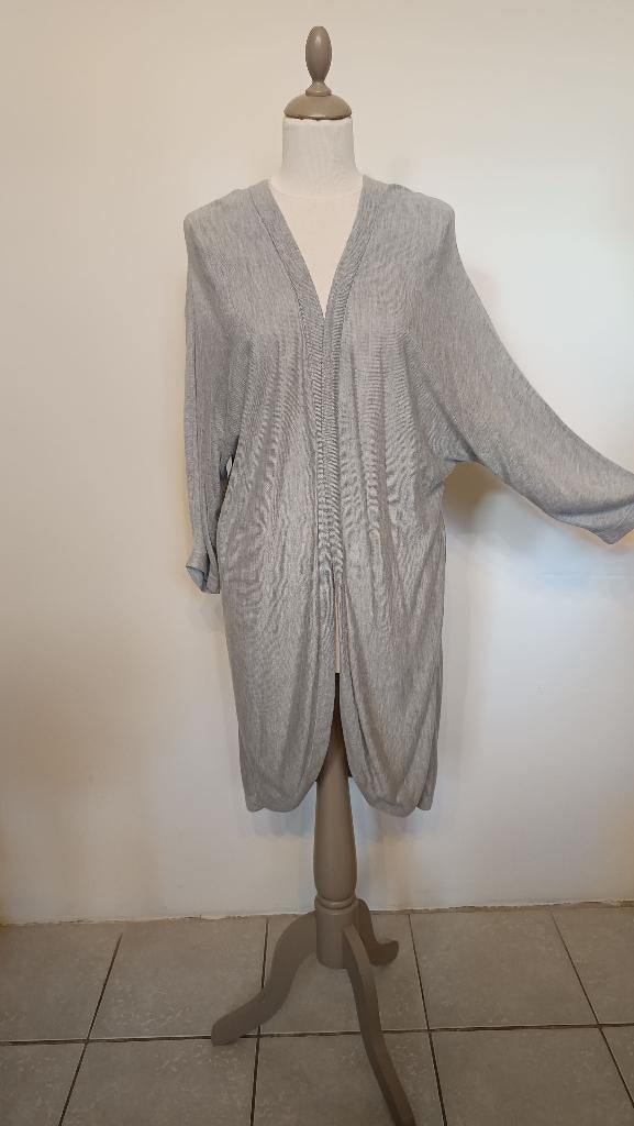 Gilet femme gris. Taille L. 🙋‍♀️, Vêtements | Femmes, Pulls & Gilets, Comme neuf, Gris, Enlèvement ou Envoi