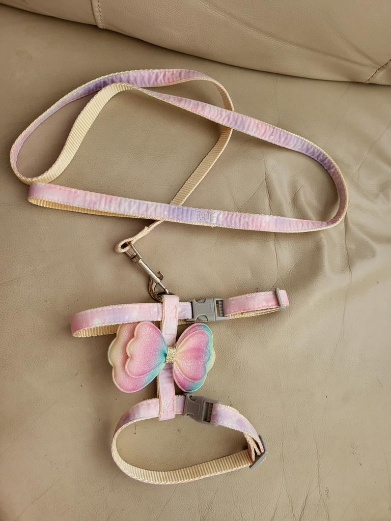 Ensemble harnais laisse coloré, Animaux & Accessoires, Laisses pour chiens, Enlèvement ou Envoi