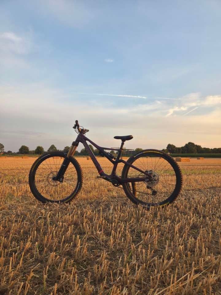 orbea rallon, Enlèvement