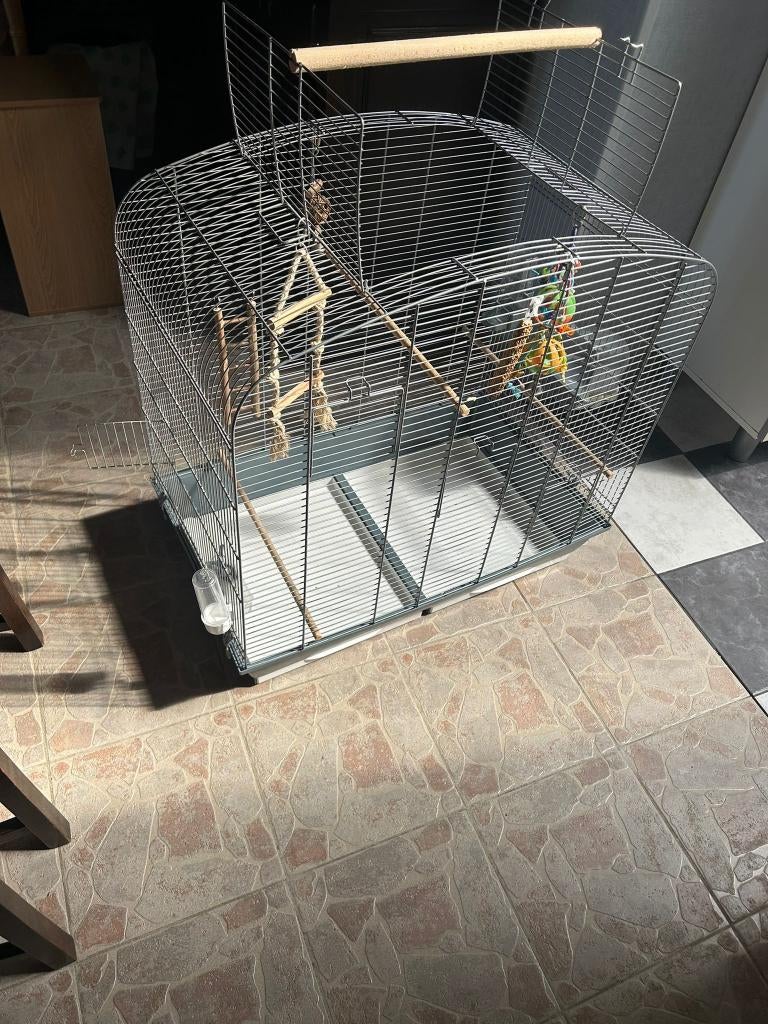 vogelkooi, Dieren en Toebehoren, Ophalen, Zo goed als nieuw, Aluminium, Vogelkooi
