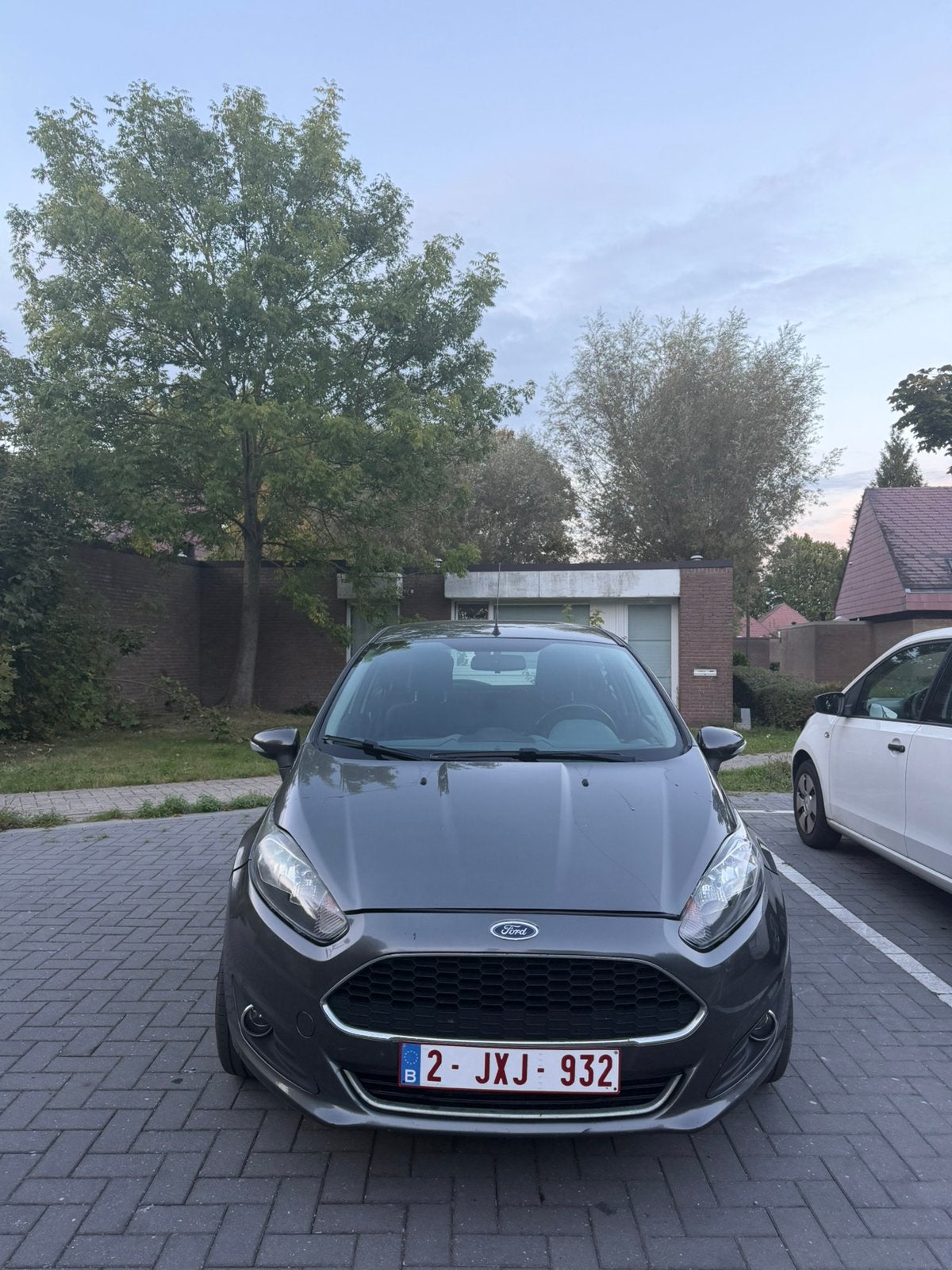 Ford Fiesta 1.0 Titanium Edition, Argent ou Gris, Achat, Euro 6, Boîte manuelle