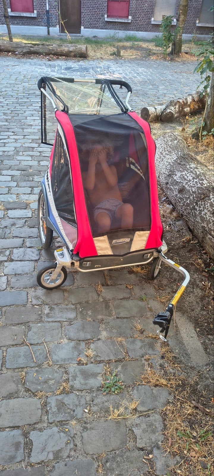 fietskar chariot, Fietsen en Brommers, Fietsaccessoires | Aanhangwagens en Karren, Ophalen, Gebruikt, Opvouwbaar, 60 tot 80 kg