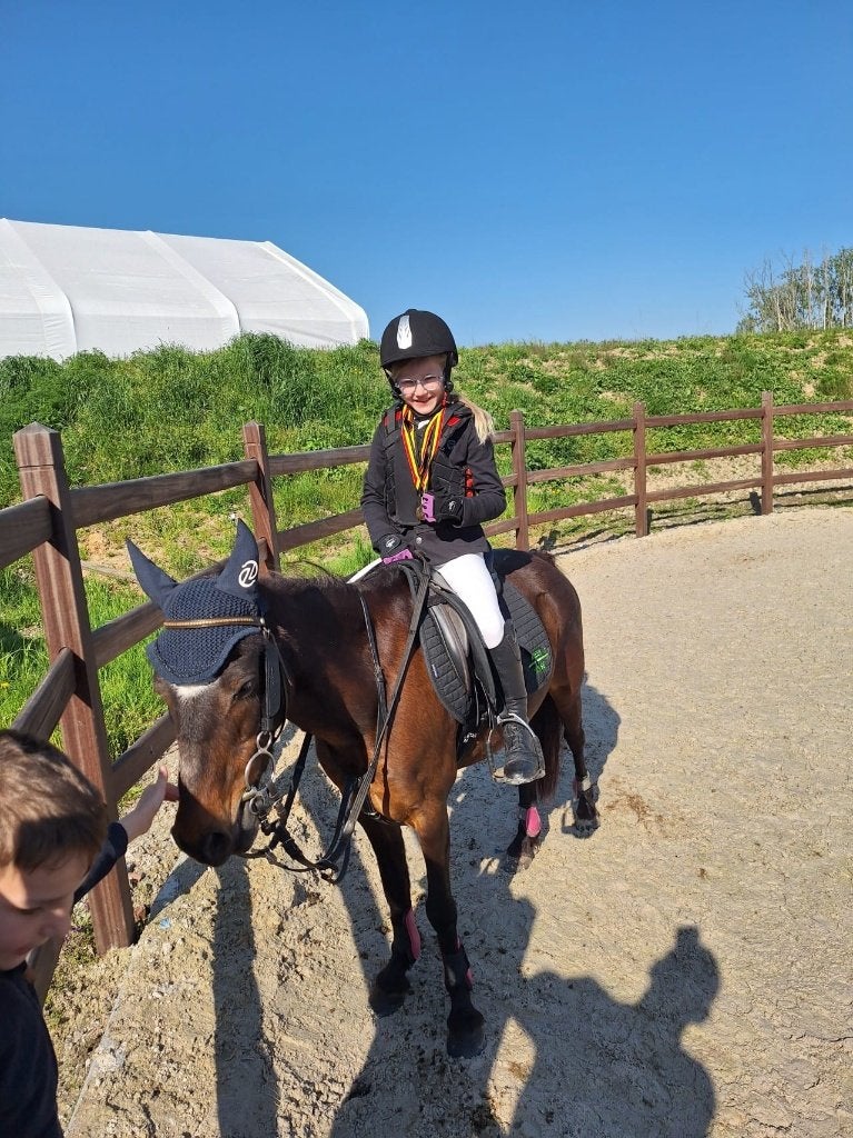 pony, Avec pedigree, Poney B (1.17 m à 1.27 m), B, 11 ans ou plus