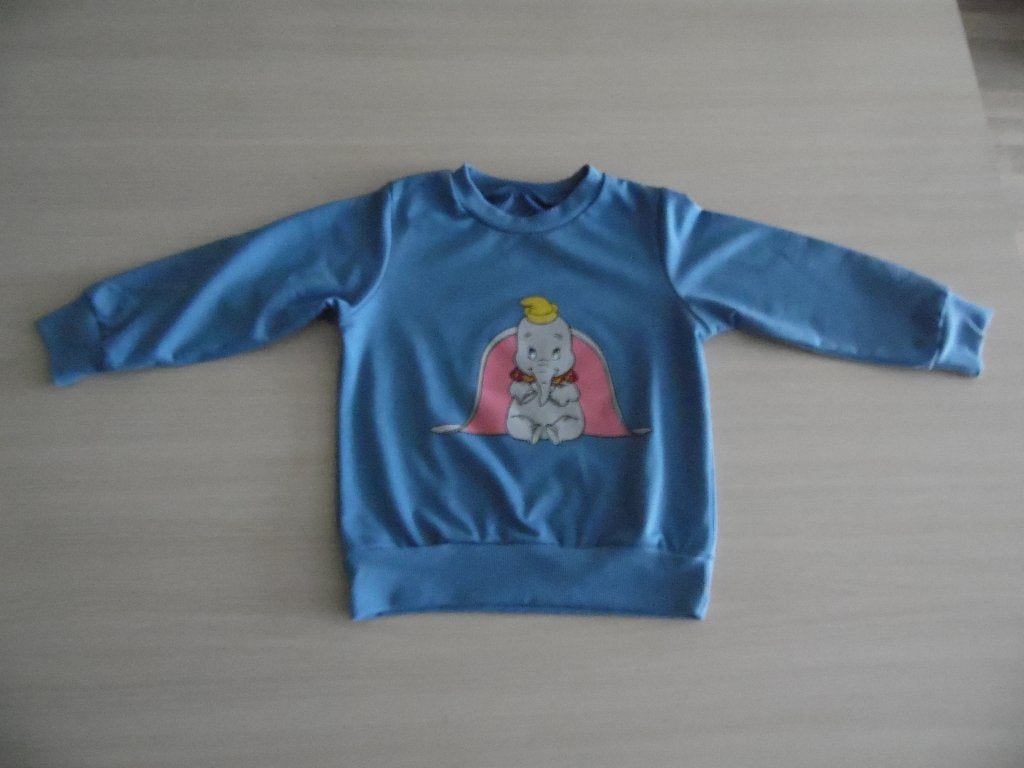NIEUW SWEATSHIRT VAN DISNEY DUMBO, Kinderen en Baby's, Kinderkleding | Maat 104, Disney, Trui of Vest, Nieuw, Ophalen of Verzenden