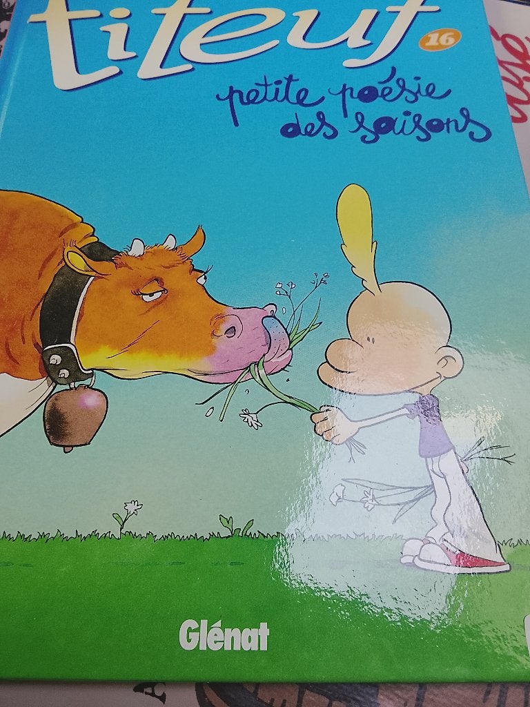 Bd Titeuf, Livres, Enlèvement ou Envoi, Une BD, Comme neuf, Zep