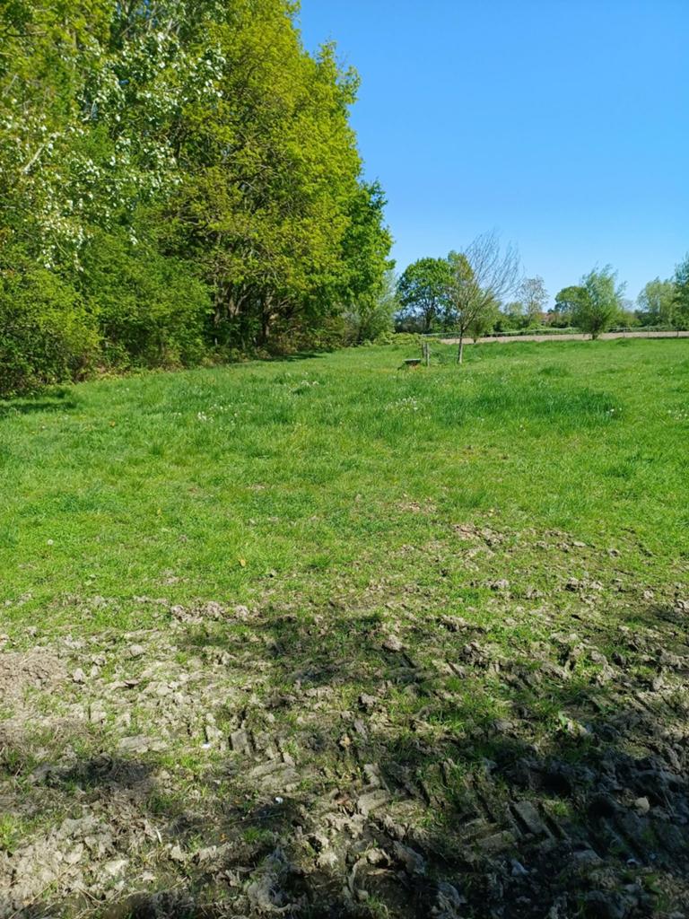 weide te huur, Dieren en Toebehoren, Stalling en Weidegang, Stalling