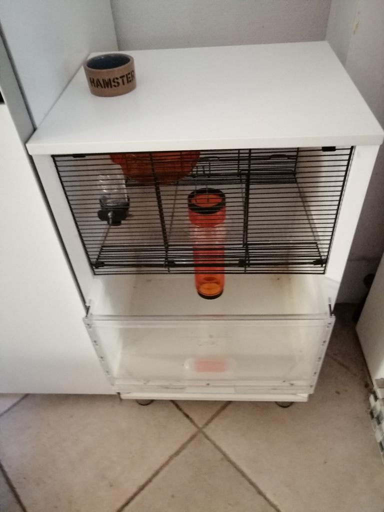 Hamsterkooi omlet, Dieren en Toebehoren, Ophalen
