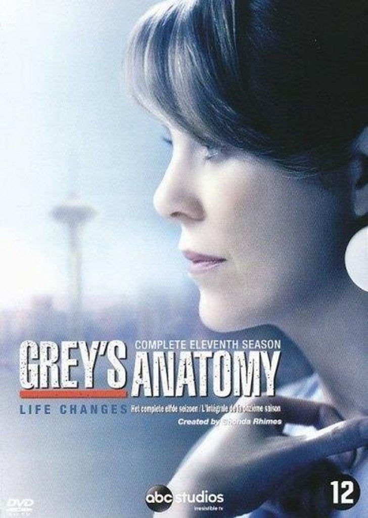Grey's Anatomy - seizoen 11, Ophalen of Verzenden