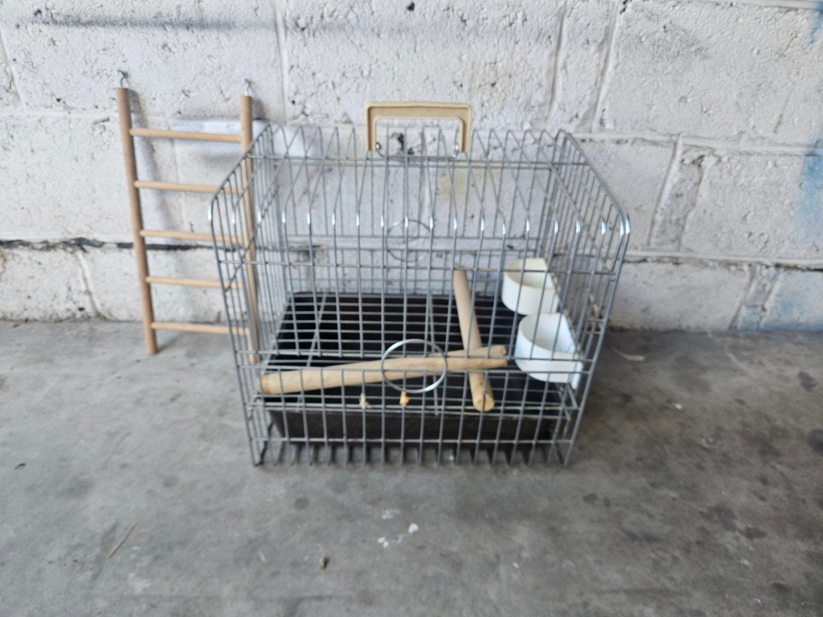 cage de transport oiseaux, Enlèvement