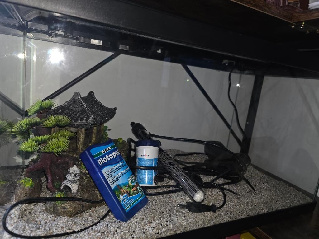 Aquarium, Enlèvement, Comme neuf, Autres types