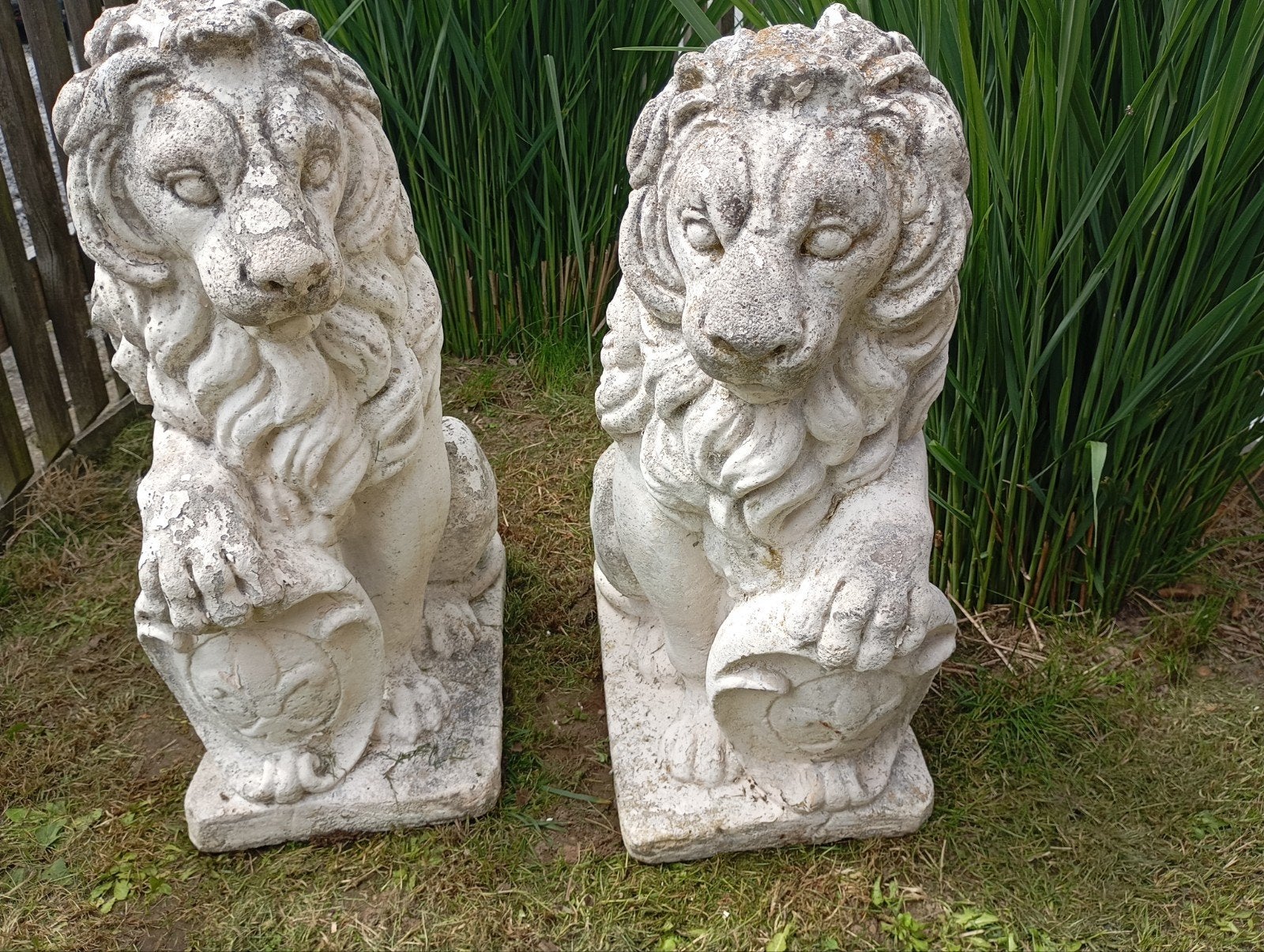 2 Gr. Betonnen Leeuwen met Schild/Links-Rechts/Hoogte 56 CM, Tuin en Terras, Ophalen
